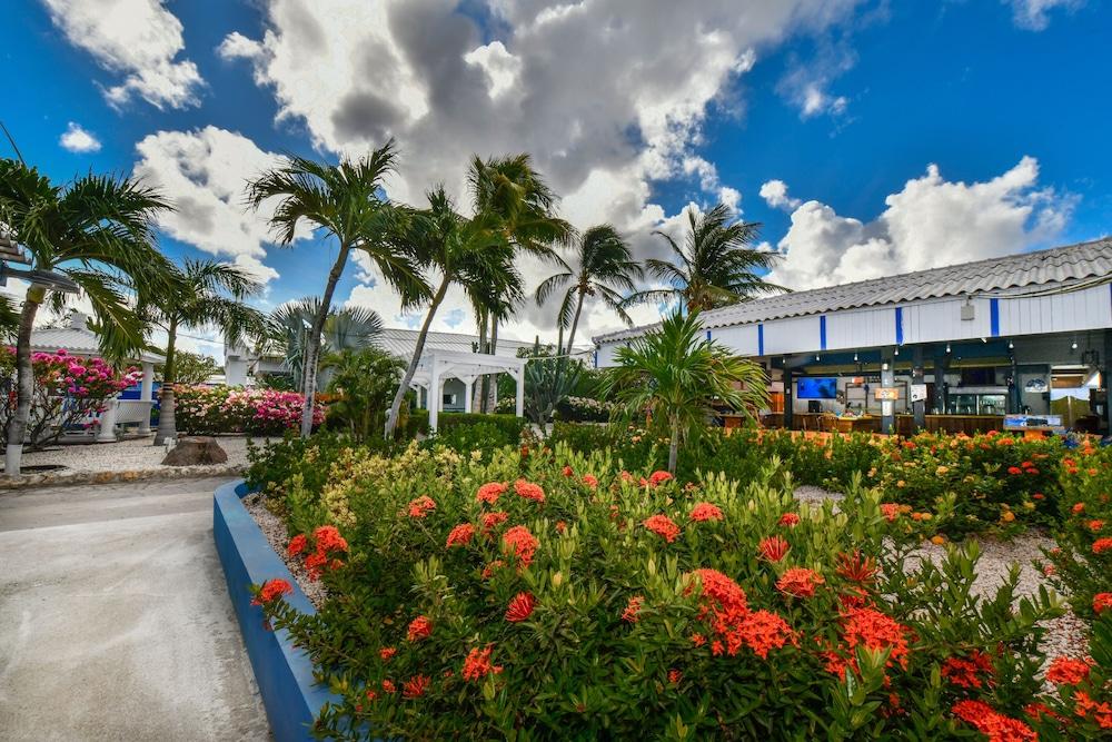 Aruba Blue Village Hotel And Apartments Palm Beach Luaran gambar