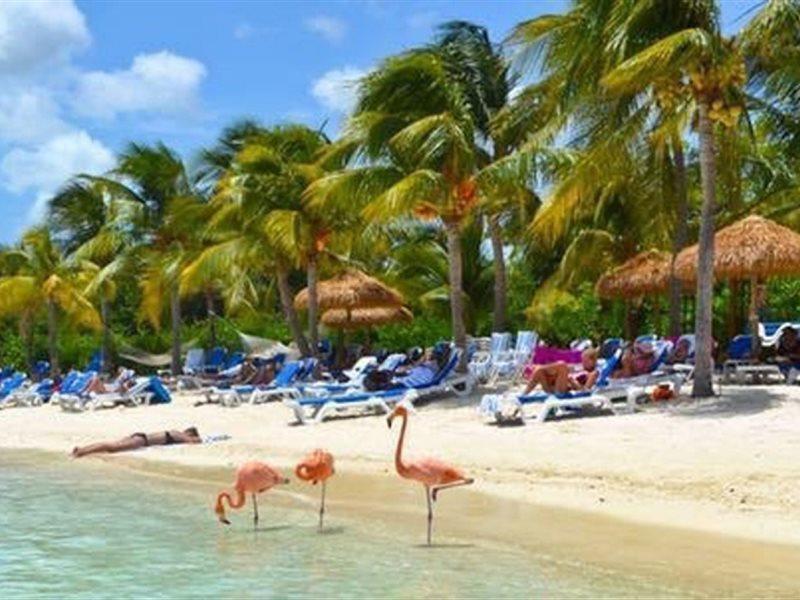 Aruba Blue Village Hotel And Apartments Palm Beach Luaran gambar