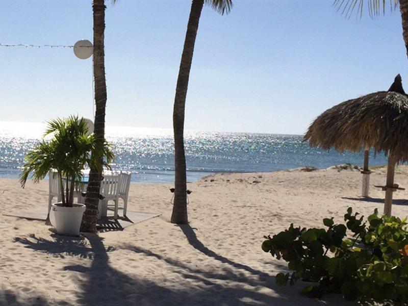 Aruba Blue Village Hotel And Apartments Palm Beach Luaran gambar