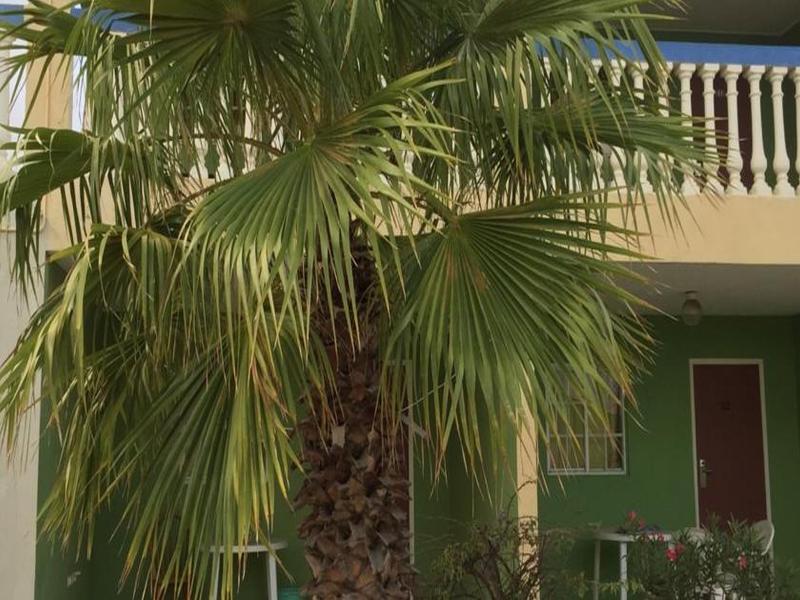 Aruba Blue Village Hotel And Apartments Palm Beach Luaran gambar